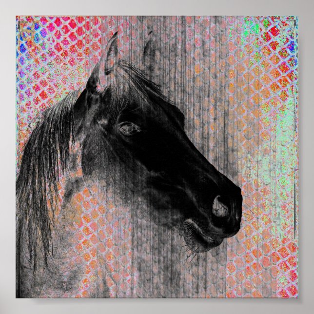 Poster Art numérique à cheval (Devant)