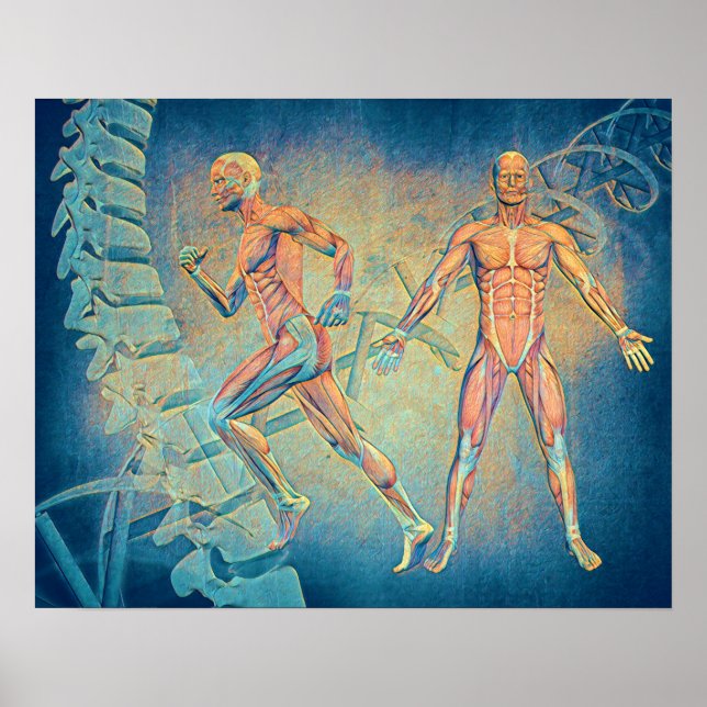 Poster Art numérique anatomique (Devant)