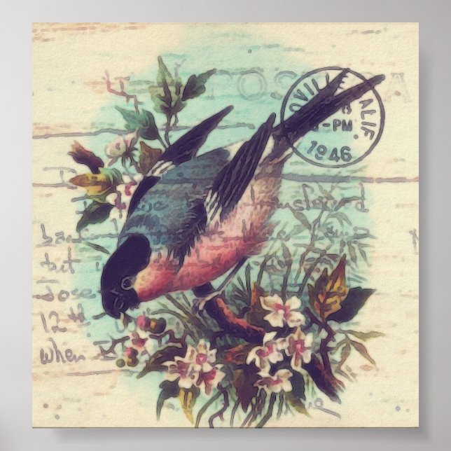 Poster Art numérique d'oiseaux (Devant)