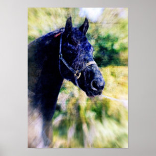 Poster Art numérique du cheval de Frérie