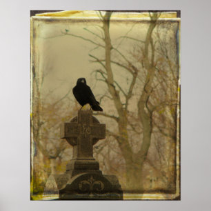 Poster Art Old Crow