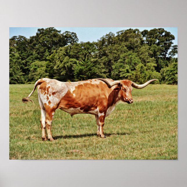 Poster Art photographique Texas Longhorn Cow (Devant)