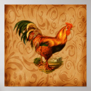Poster Art pour la cuisine Coq rustique orné