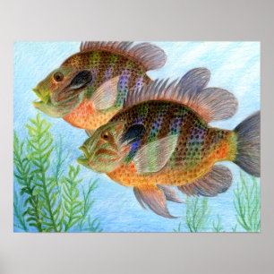 Poster Art primé par E. Jiang - 6e année