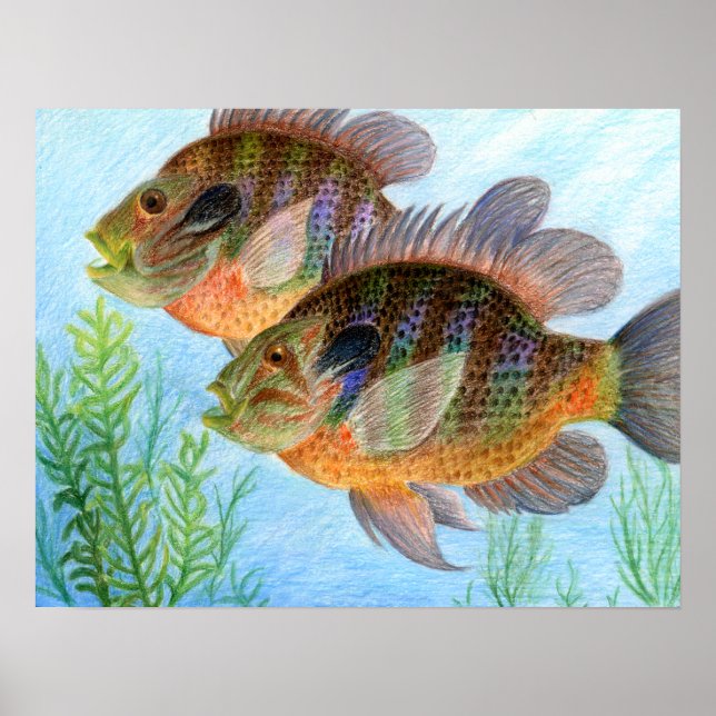 Poster Art primé par E. Jiang - 6e année (Devant)