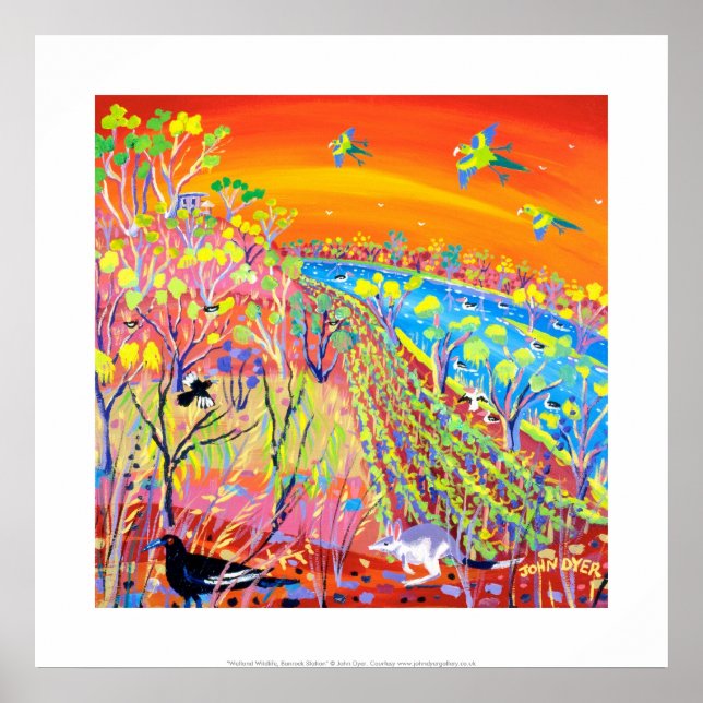 Poster Art Print : Banrock Station Wetland Wildlife. (Devant)