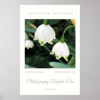 Poster Art Print - Summer Snowflake