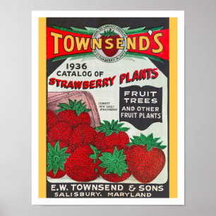 Poster ART Recyclé : CATALOGUE DES SEMENCES 1936
