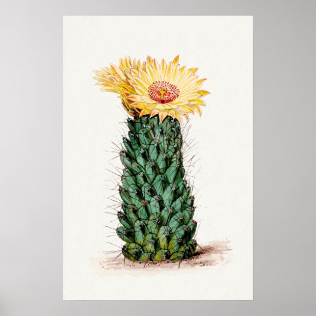 Poster Art Sketch Cactus Fleur Jaune (Devant)