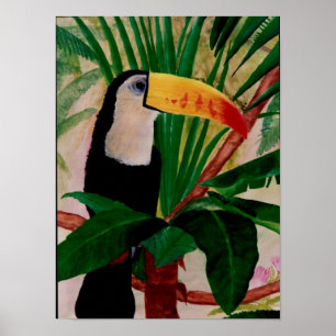 Poster Art sud-américain d'oiseau de jungle d'oiseau de