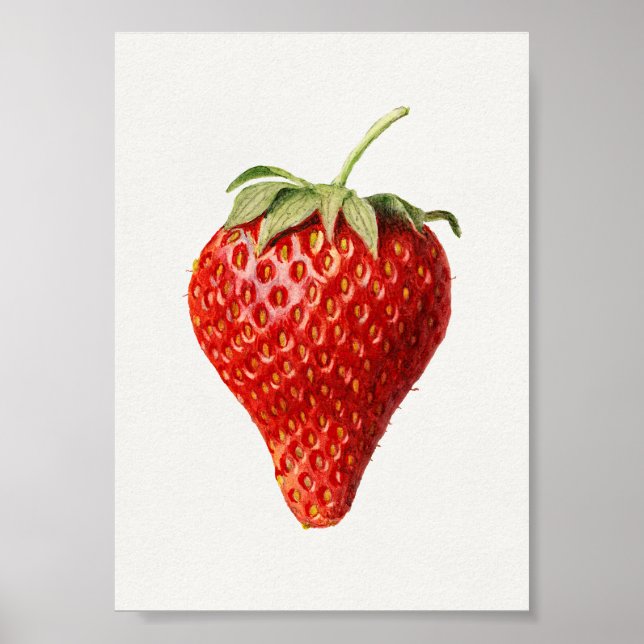 Poster Art Vintage aux fraises (Devant)