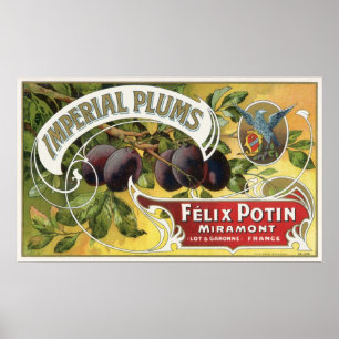 Poster Art vintage d'étiquette de caisse de fruit, prunes