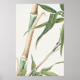 Poster Art Vintage feuille de bambou
