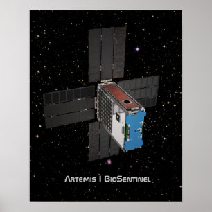 Poster Artemis BioSentinel CubeSat