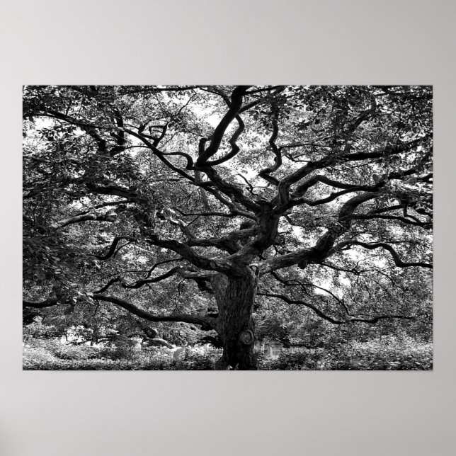 Poster Artère principale (Devant)