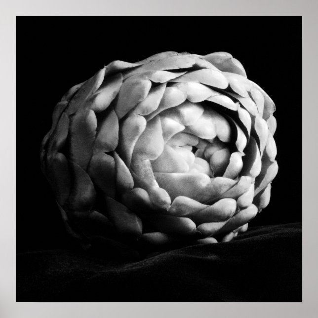 Poster Artichoke Close Up Photographie noir et blanc (Devant)