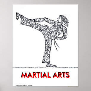 Poster Arts martiaux