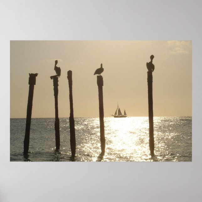 Poster Aruba (Devant)