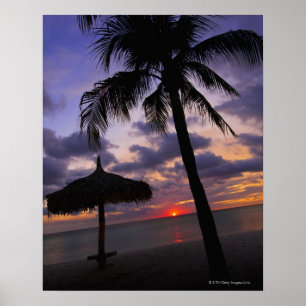Poster Aruba, silhouette de palmier et de palapa