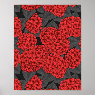 Poster Arygdale rouge