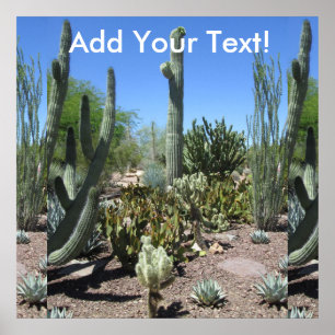 Poster Arzona Cactus