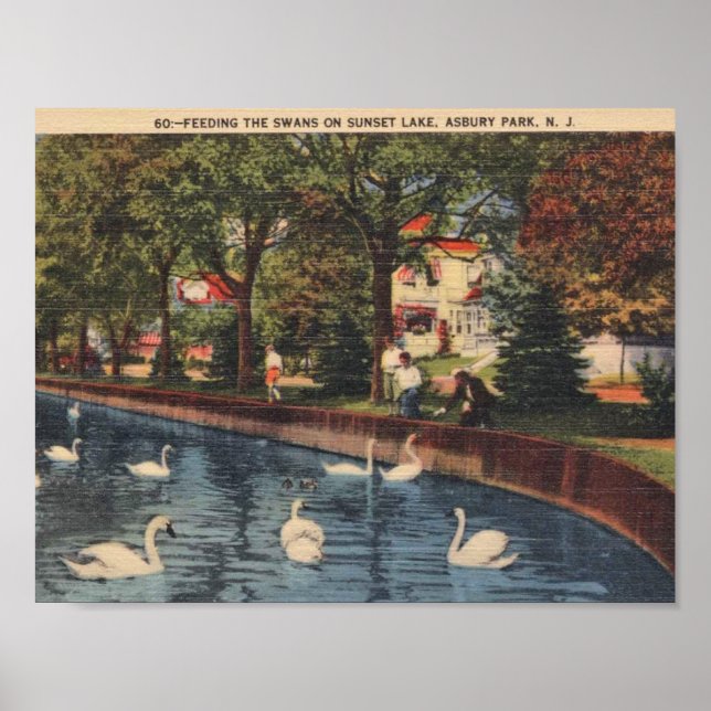 Poster Asbury Park, New Jersey, Feeding the Swans, années (Devant)
