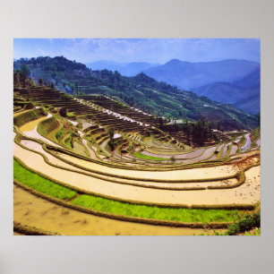 Poster Asie, Chine, province du Yunnan, comté de Yuanyang