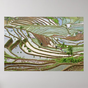 Poster Asie, Chine, Yunnan, Jinping. Personnalité autocht