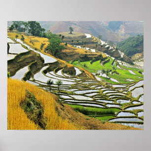 Poster Asie, Chine, Yunnan, Préfecture de Yuxi ; Yuanjian