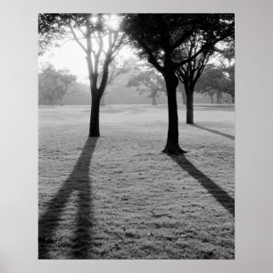 Poster Asie, Japon, Kumamoto. Lever de soleil sur Kumamot