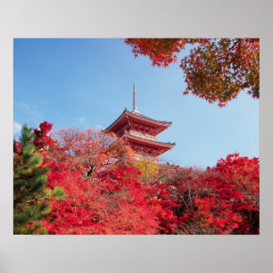 Poster Asie, Japon, Kyoto. Couleur d'automne