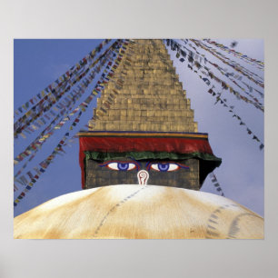Poster Asie, Népal, Katmandou. Stupa de Bouddhanath. 2