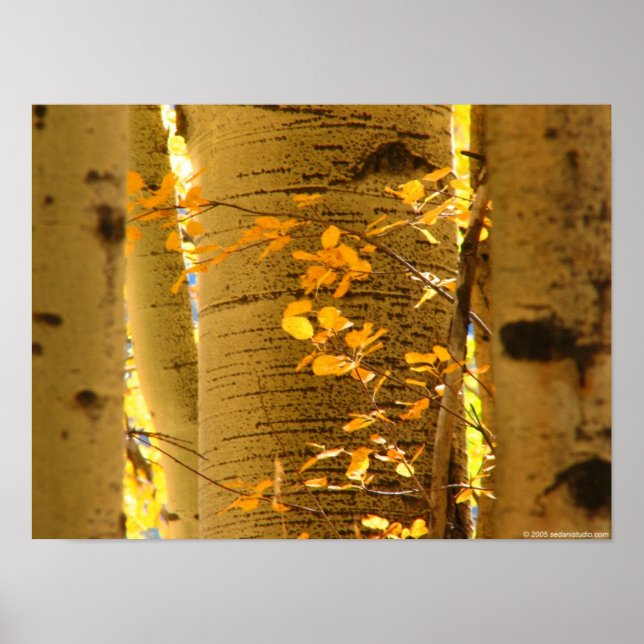 Poster Aspect haut près (Devant)