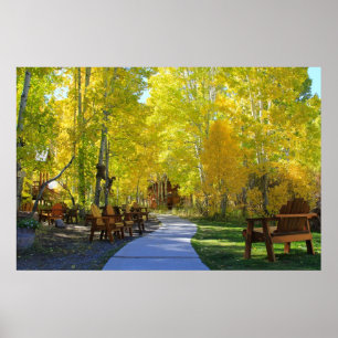 Poster "Aspen Walkway" Fall Colors, Hope Valley CA.