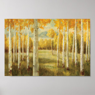 Poster Aspens en automne