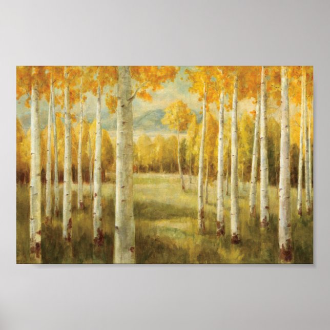 Poster Aspens en automne (Devant)
