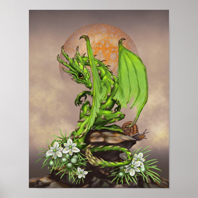 Poster Asperges Dragon 11x14 (4x6 et plus) (Devant)