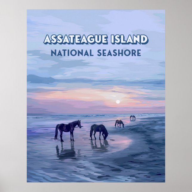 Poster Assateague Island National Seashore Horaires Vinta (Devant)