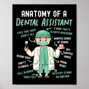 Poster Assistant Dentaire Anatomie Dentaire D'Un Dentaire