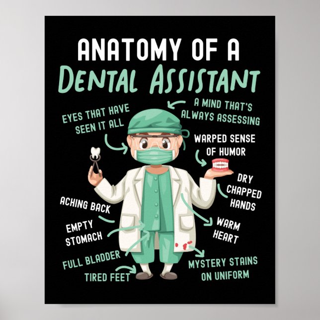 Poster Assistant Dentaire Anatomie Dentaire D'Un Dentaire (Devant)