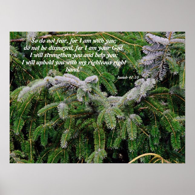 Poster Astuce Argent Arbre Isaiah 41:10 Imprimer (Devant)