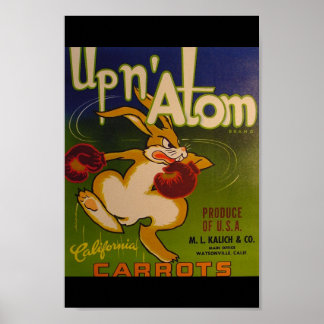 Poster Atom N