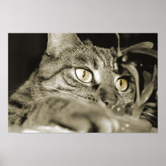 Poster Attaque