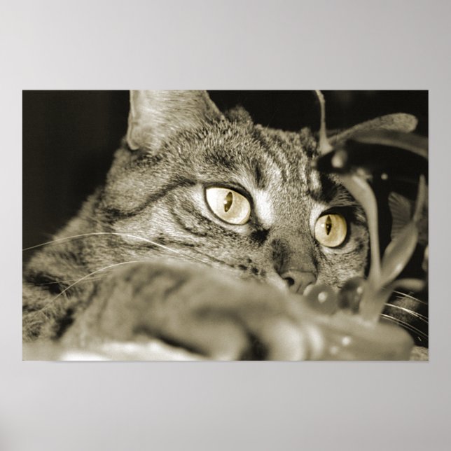 Poster Attaque (Devant)
