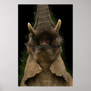 Poster Atteinte ascendante de Skyward Snack Elephant