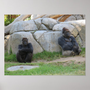 Poster Attendons de voir