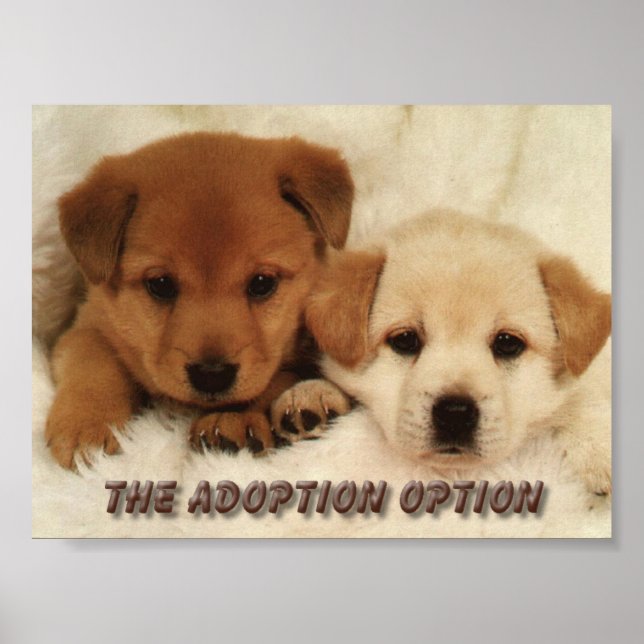 Poster Attendrez-vous d'adopter un animal ? (Devant)