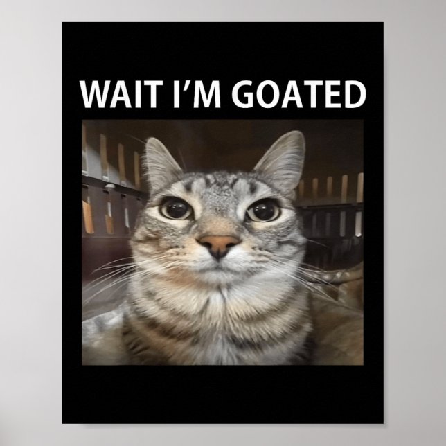 Poster Attends, Je Suis Allé Mème De Chat Silly (Devant)
