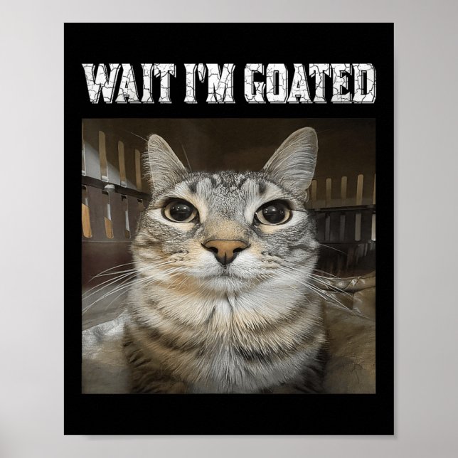 Poster Attends, Je Suis Chat Humour Mème (Devant)