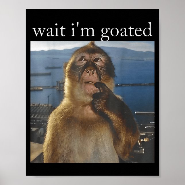 Poster Attends je suis Goated Drôle Singe qui Pense Mème  (Devant)
